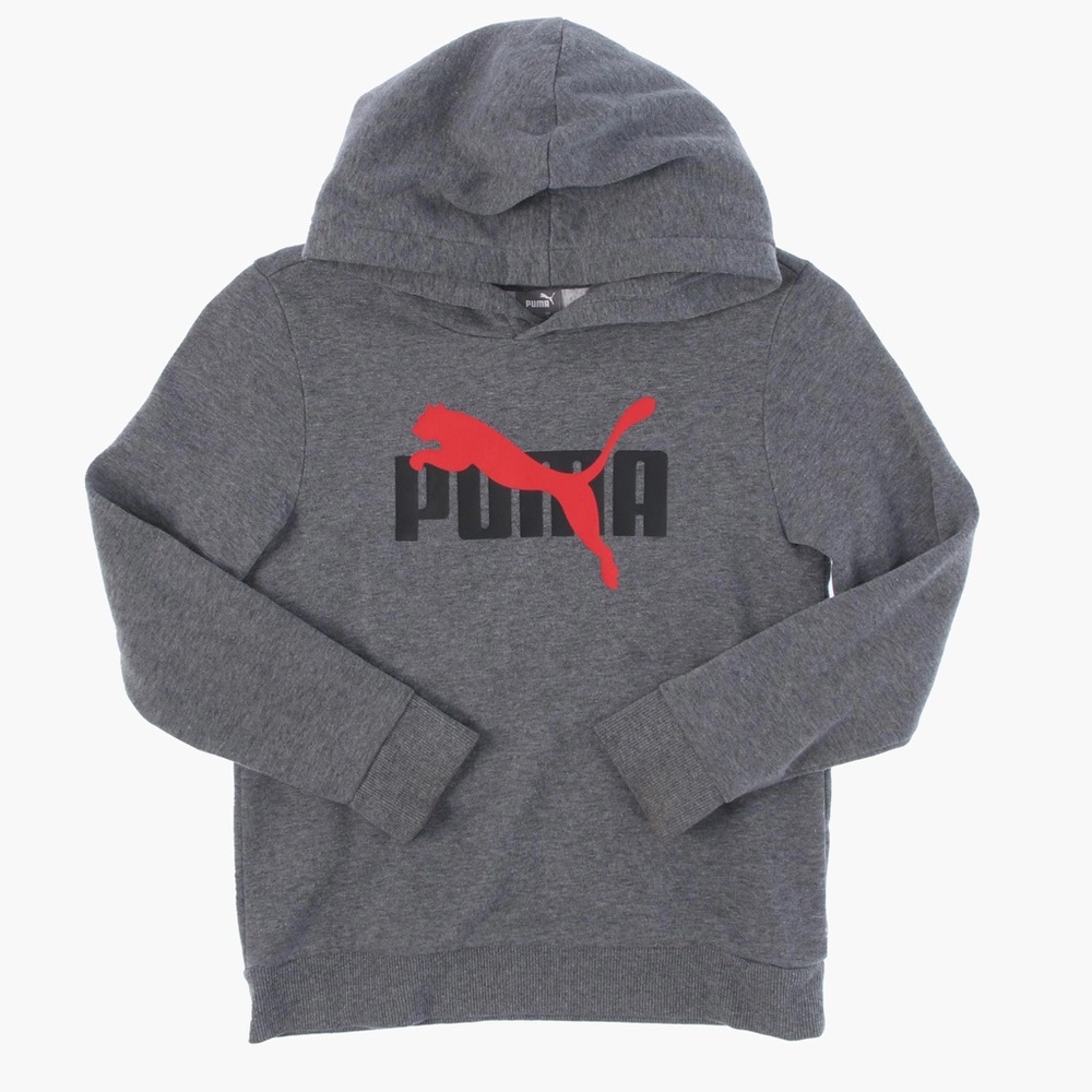 Puma Dark Grey Pullover Hoodie